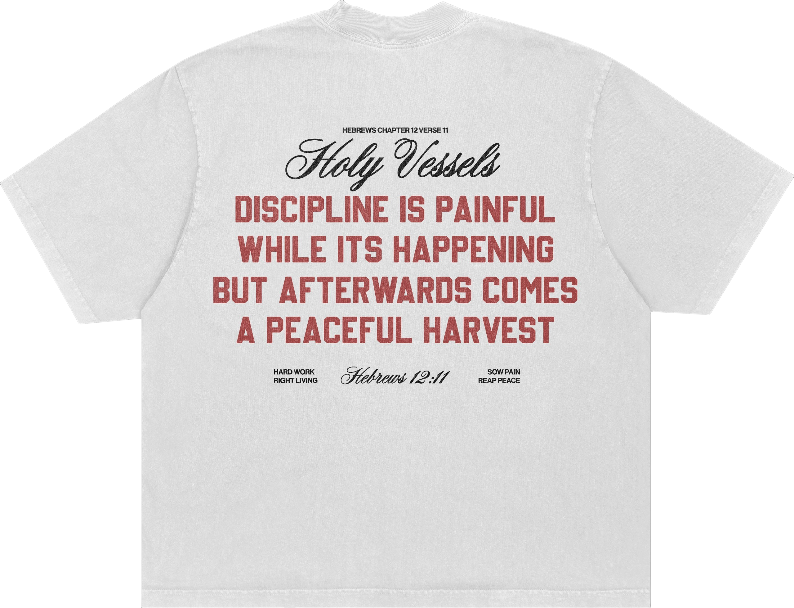 "Painful Discipline" Heavyweight Tee | White